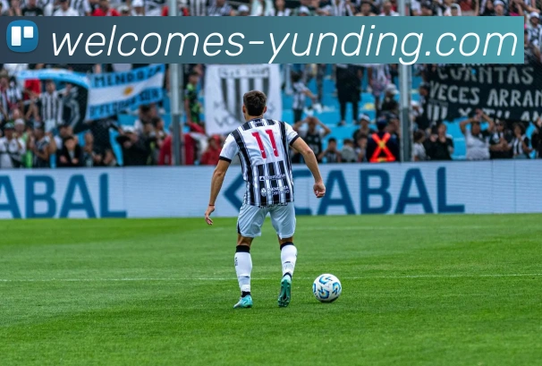 多媒体互动体验